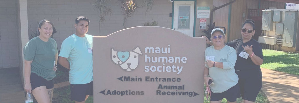 From Shelters to Shorelines: A Week of Giving Back